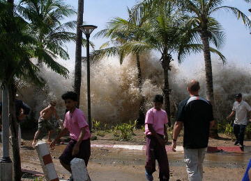 regierung tsunami hilfe