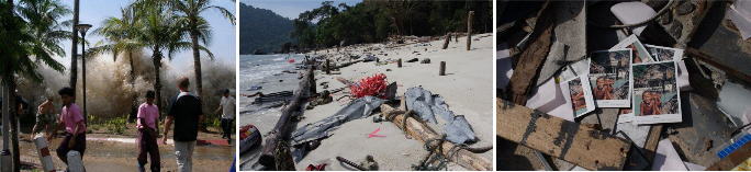 tsunami น้ำ ขึ้น หายนะ